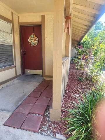 Buck, BRANDON, FL 33511