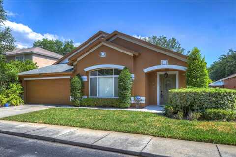 Cypress Hammock, TAMPA, FL 33614