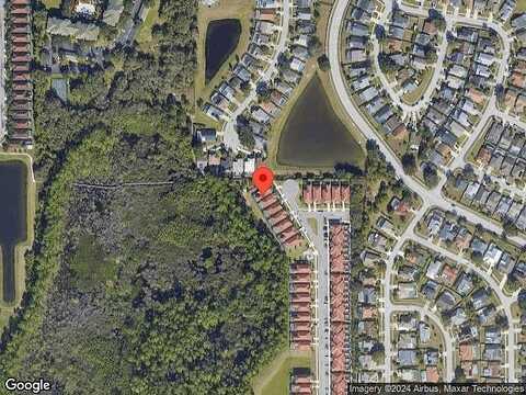 Bamboo Palm, KISSIMMEE, FL 34747