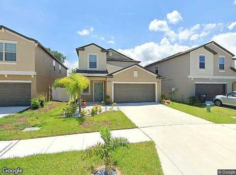 Nutmeg Spice, RUSKIN, FL 33570