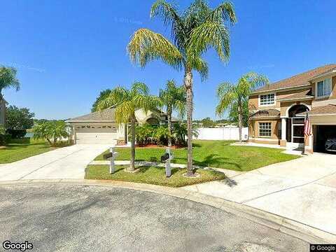 Maysville, WESLEY CHAPEL, FL 33545
