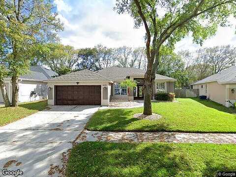 Potomac, RIVERVIEW, FL 33578
