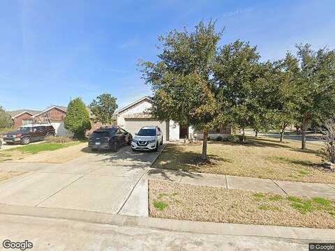 Daylilly, ROSENBERG, TX 77469