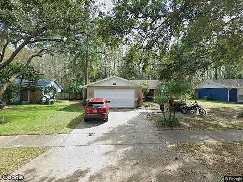 Black Pine, TAMPA, FL 33624