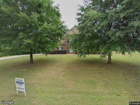 Bethelview, HAMPTON, GA 30228