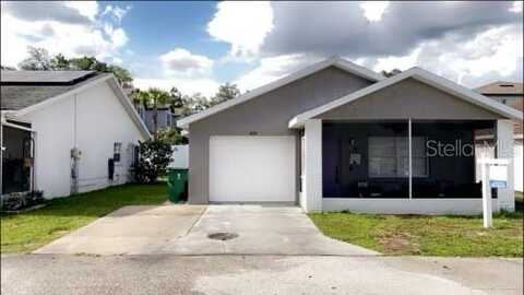 Silver, ZEPHYRHILLS, FL 33541