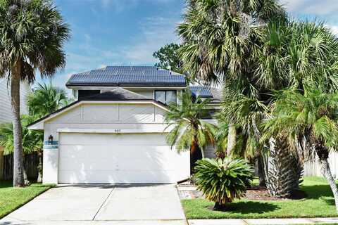 Amethyst, LAKE MARY, FL 32746