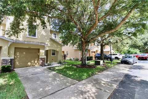 Limerick, TAMPA, FL 33610