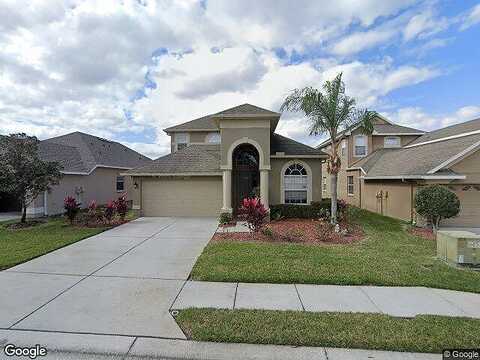 Yans, WESLEY CHAPEL, FL 33543