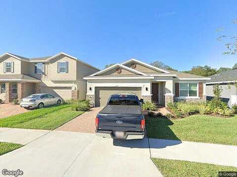 Darcy Bluff, VALRICO, FL 33594