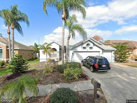 Wood Ibis, TARPON SPRINGS, FL 34689