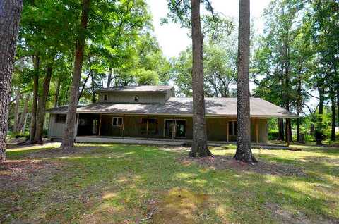 Gallant Fox, TALLAHASSEE, FL 32309