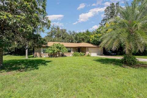 Phonetia, DELTONA, FL 32738