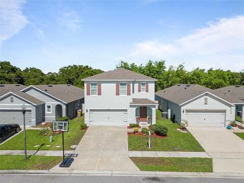 Surfbird, KISSIMMEE, FL 34744