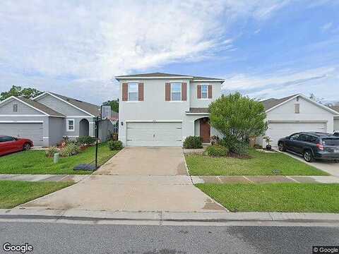 Surfbird, KISSIMMEE, FL 34744