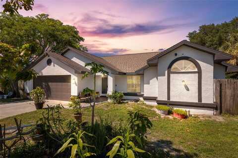 Saddle, WESLEY CHAPEL, FL 33543