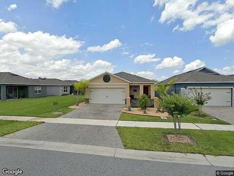Borassus, NEW SMYRNA BEACH, FL 32168