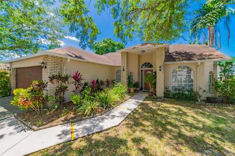 Sean, PALM HARBOR, FL 34684