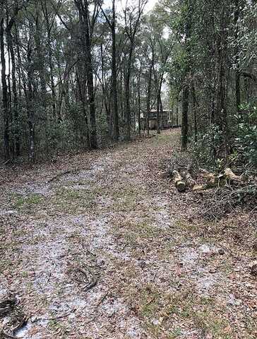 Rattlesnake, FORT WHITE, FL 32038