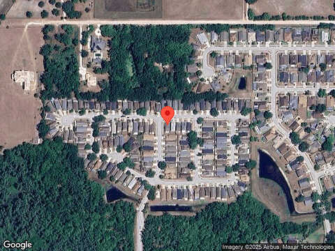 Seashell, WESLEY CHAPEL, FL 33545