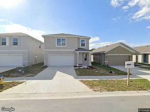 Common Fig, WESLEY CHAPEL, FL 33543