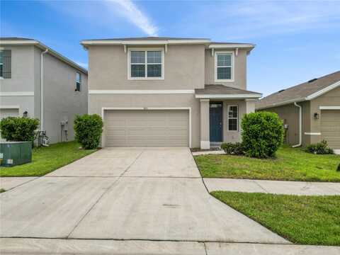 Common Fig, WESLEY CHAPEL, FL 33543