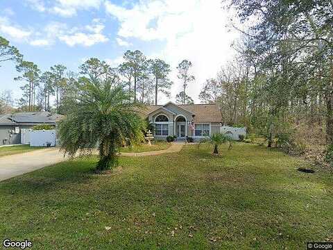 Zephyr Lily, PALM COAST, FL 32164
