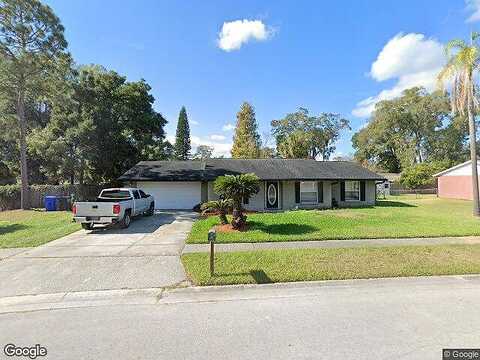 Ridgetop, VALRICO, FL 33594