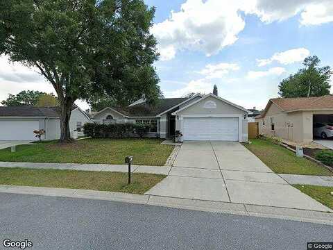 Painter, LAND O LAKES, FL 34639