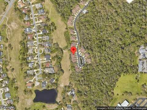 Preservation, PLANT CITY, FL 33566