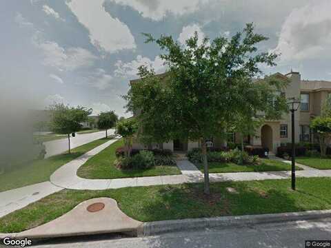 Florida Soapberry, ORLANDO, FL 32828