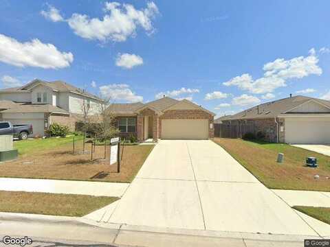 Bird Wing, PFLUGERVILLE, TX 78660