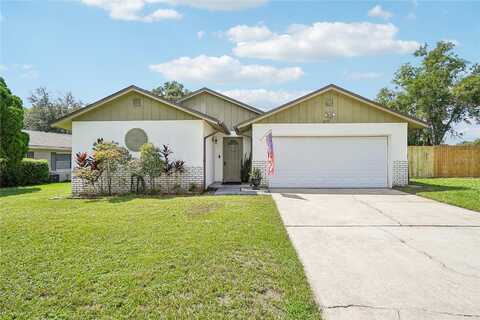 Sweetgum, WINTER SPRINGS, FL 32708