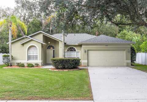 Backwater, PALM HARBOR, FL 34685