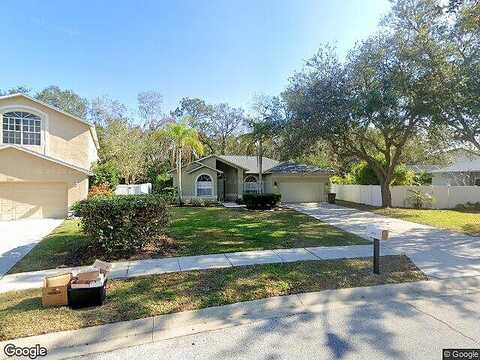 Backwater, PALM HARBOR, FL 34685