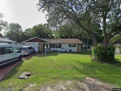 Seymeria, BEVERLY HILLS, FL 34465