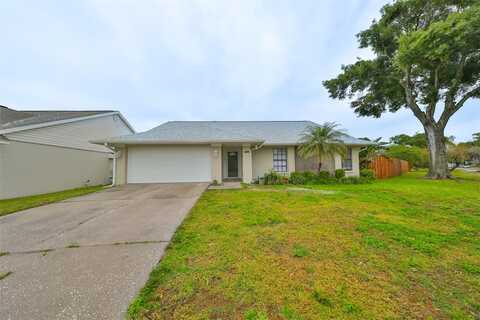 Redbridge, BRANDON, FL 33511