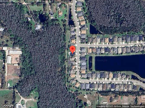 Nikki, ODESSA, FL 33556