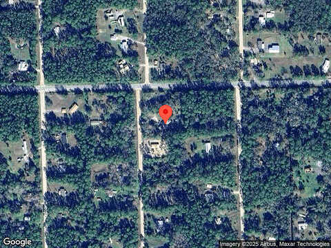 Berrybush, BUNNELL, FL 32110