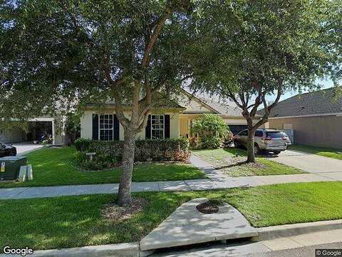Southern Red Maple, ORLANDO, FL 32828
