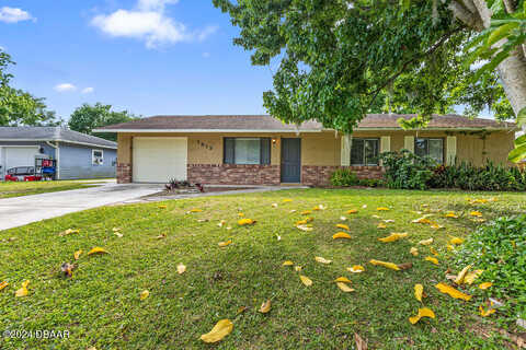 Travelers Palm, EDGEWATER, FL 32132