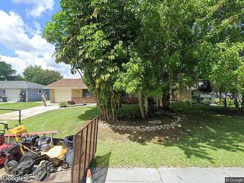 Travelers Palm, EDGEWATER, FL 32132