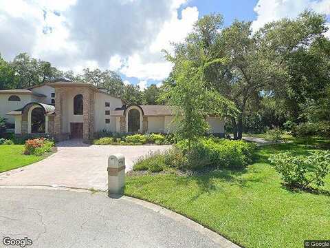 Sago, DUNEDIN, FL 34698