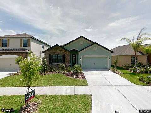 Ballentrae Forest, RIVERVIEW, FL 33579