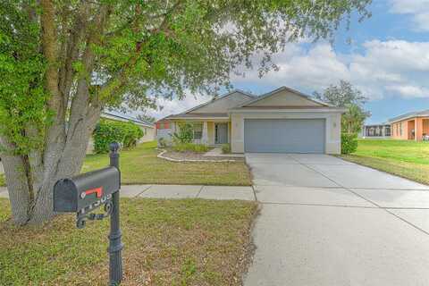 Coconut Island, RIVERVIEW, FL 33569