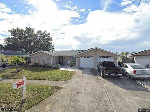 Rushmore, HOLIDAY, FL 34690