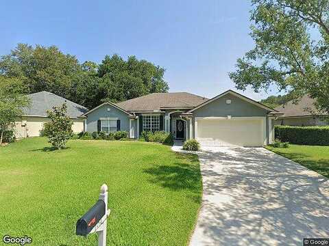 Velvetleaf, SAINT JOHNS, FL 32259