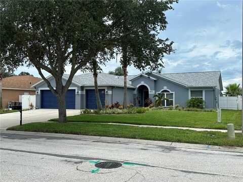 Tarragon, RIVERVIEW, FL 33569