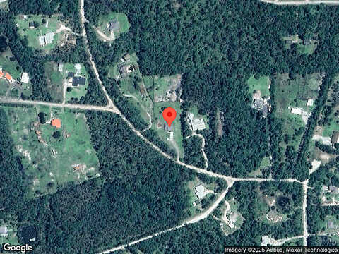 Conifer, ORMOND BEACH, FL 32174