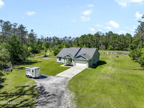 Conifer, ORMOND BEACH, FL 32174
